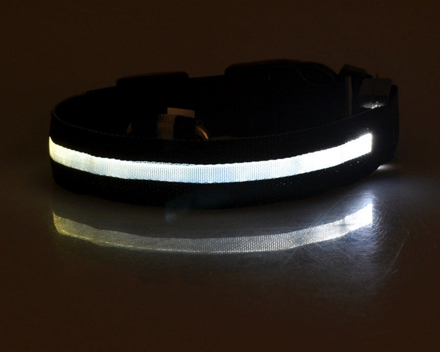 Night Glow LED Dog Collar