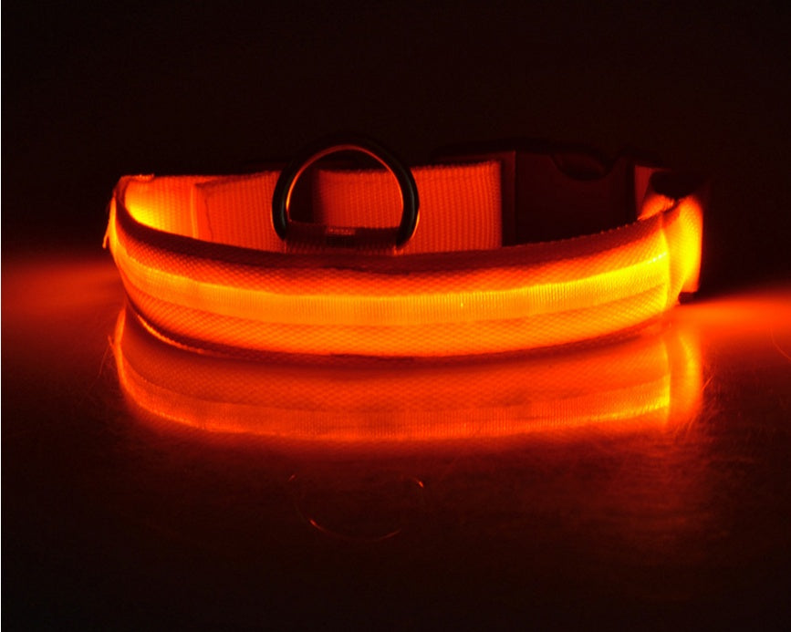Night Glow LED Dog Collar