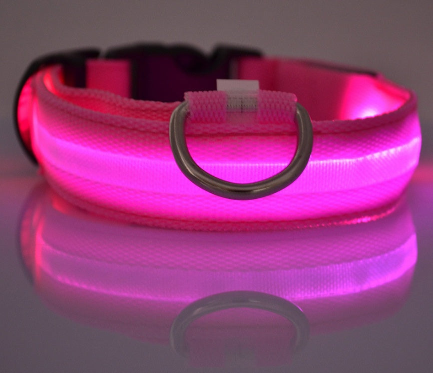 Night Glow LED Dog Collar