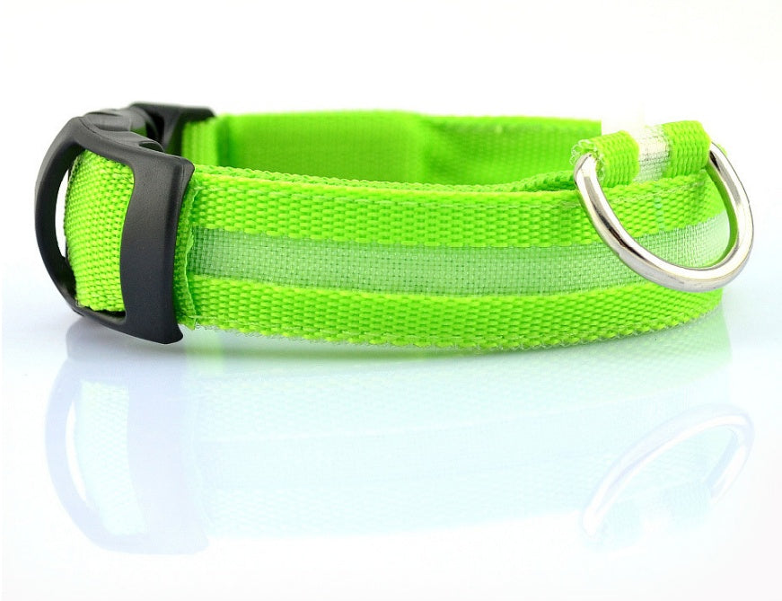 Night Glow LED Dog Collar