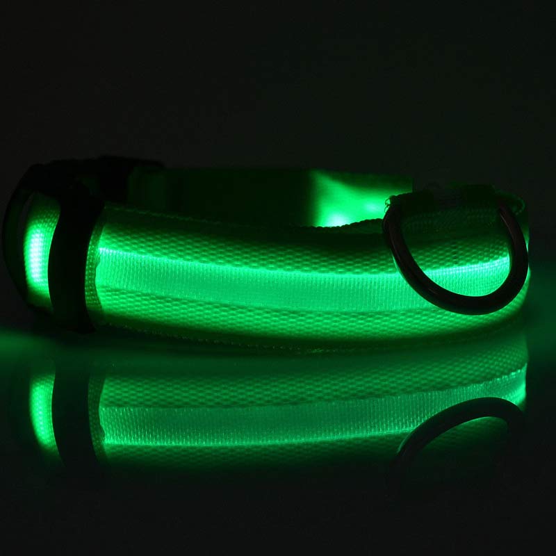 Night Glow LED Dog Collar