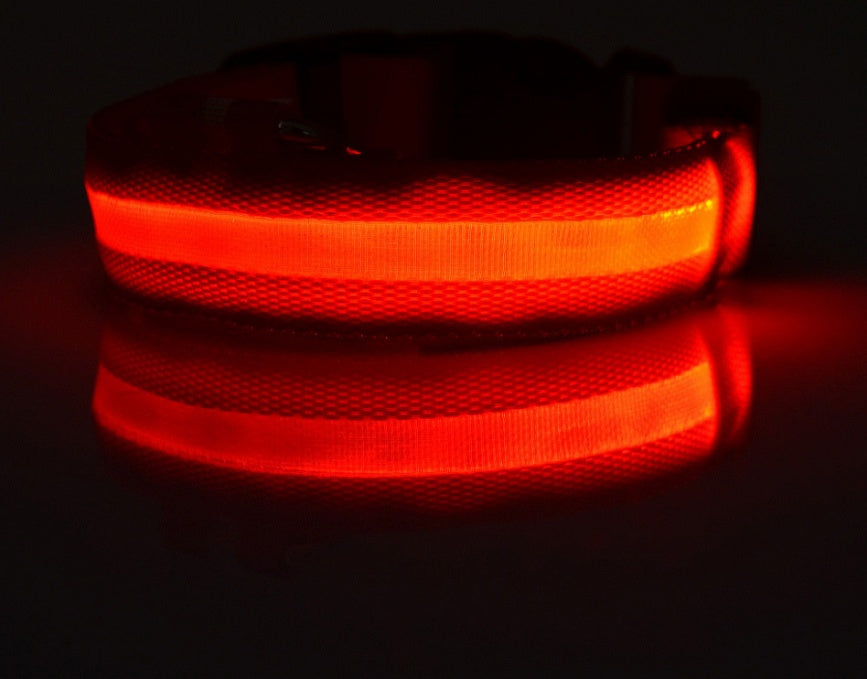 Night Glow LED Dog Collar
