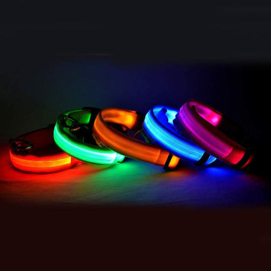 Night Glow LED Dog Collar