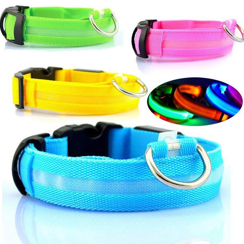 Night Glow LED Dog Collar