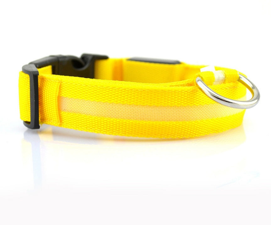 Night Glow LED Dog Collar