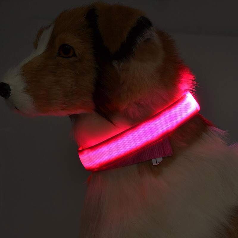 Night Glow LED Dog Collar