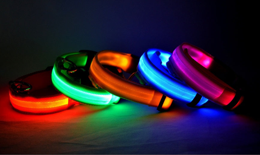 Night Glow LED Dog Collar