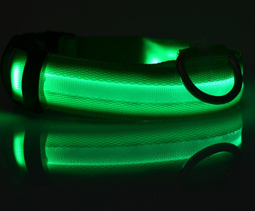 Night Glow LED Dog Collar