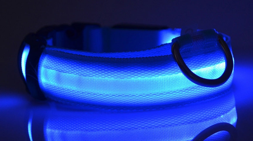 Night Glow LED Dog Collar