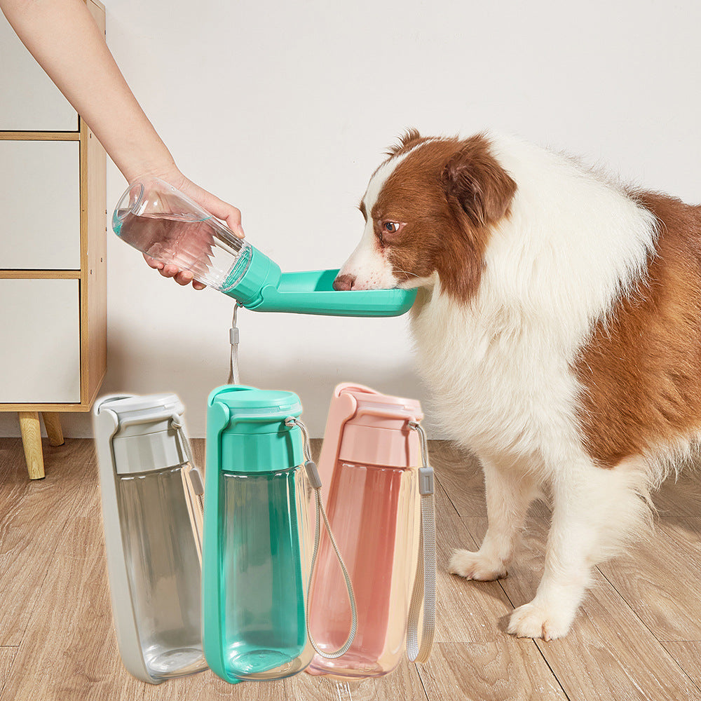 Portable dog waterbottle